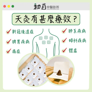 天灸 攻略】初苜中醫師詳解天灸原理、注意事項及後期護理 | alfalfamedical
